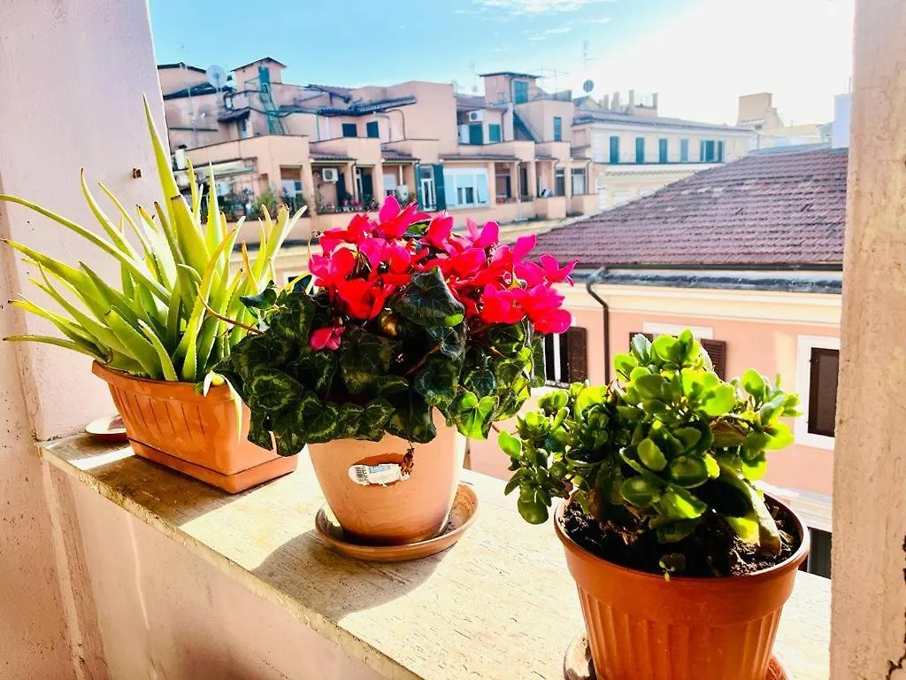 Pensión Green Guesthouse Roma Italia
