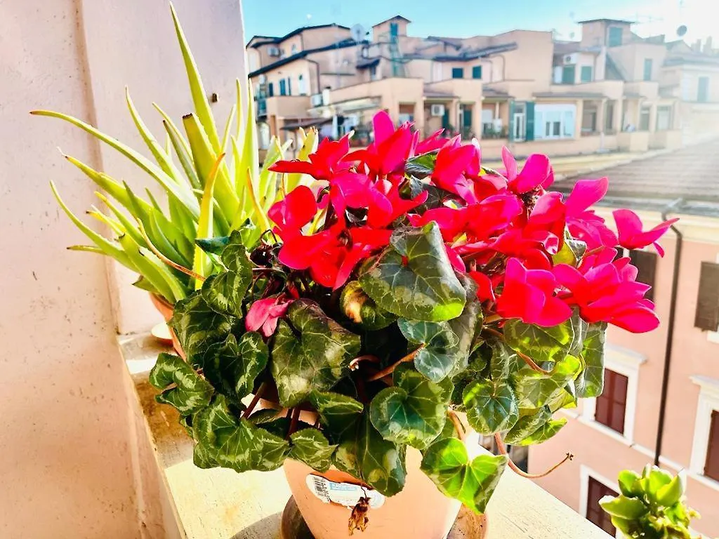 Pensión Green Guesthouse Roma
